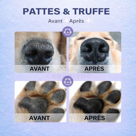 Baume Hydratant Pattes & Truffe – Chiens et Chats