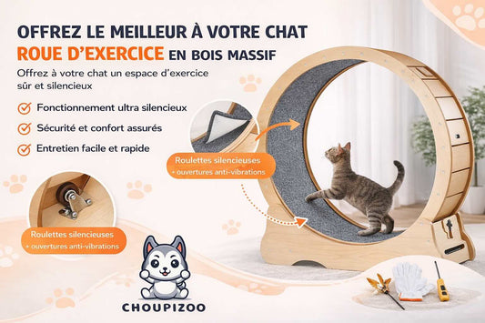 Roue pour Chat - Accessoire de dépense physique pour félin