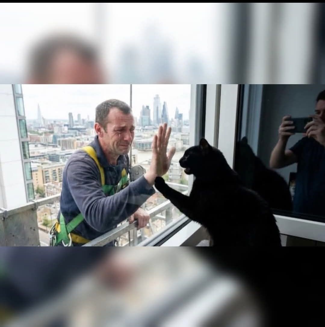 Guiness et son improbable amitié