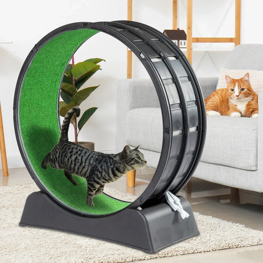 Roue pour chat : pourquoi cet accessoire est devenu indispensable pour les chats d’intérieur