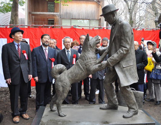 Hachiko : l’histoire vraie du chien le plus fidèle du monde