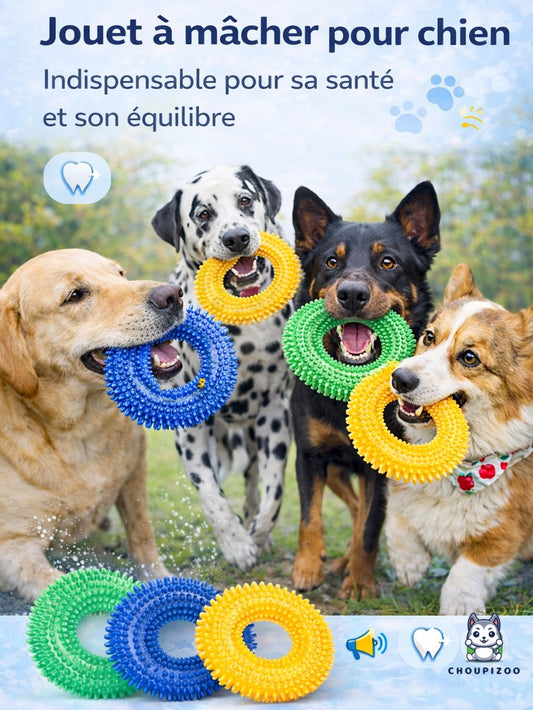 Jouet à mâcher pour chien : pourquoi il est indispensable pour sa santé et son équilibre