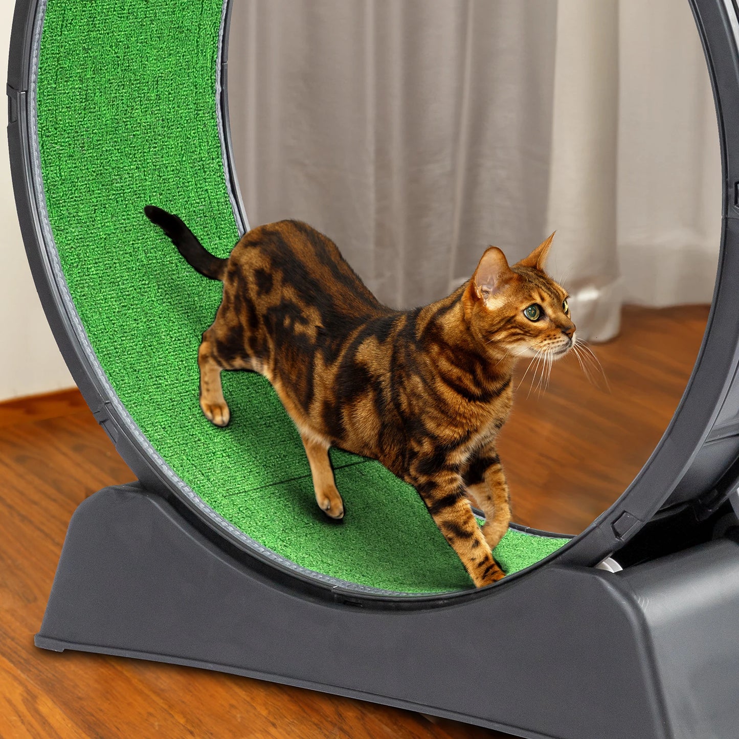 Roue pour chat de 39pouces ActiveRun