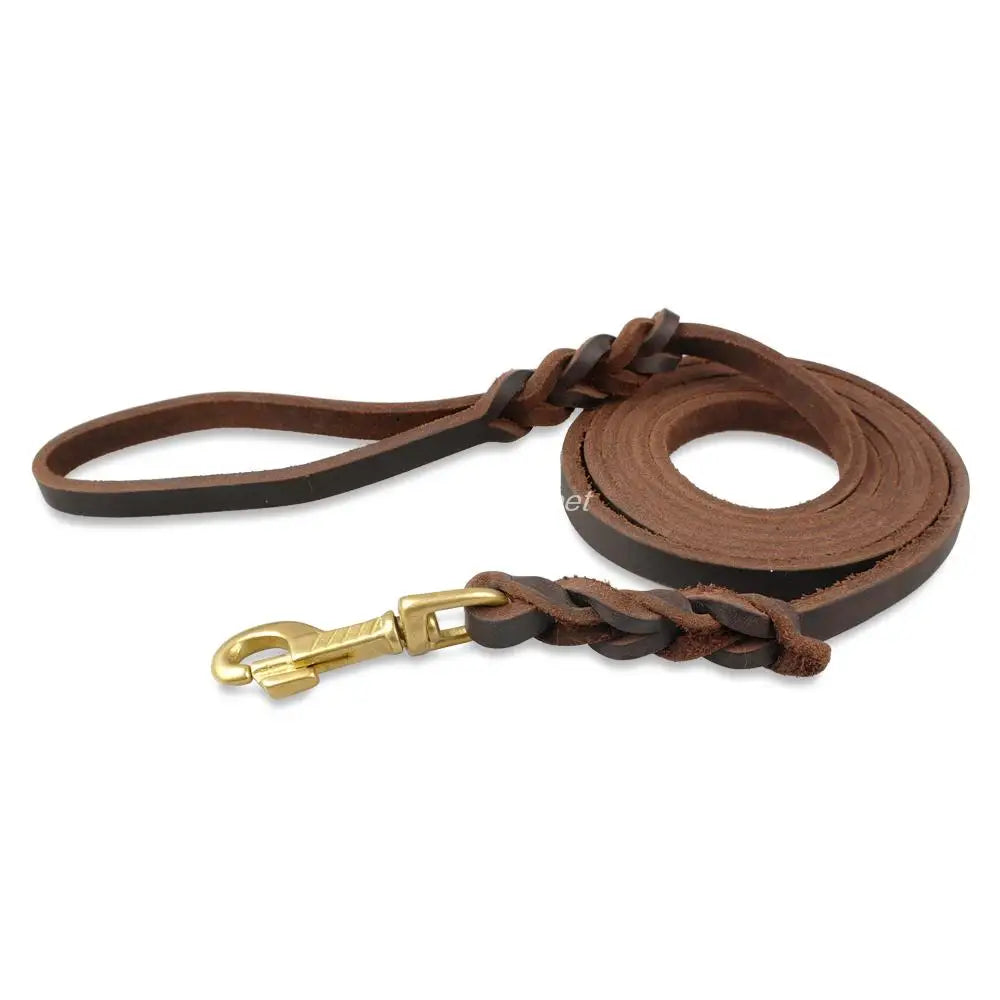 Laisse pour chien en cuir tressé – Élégance, confort et contrôle