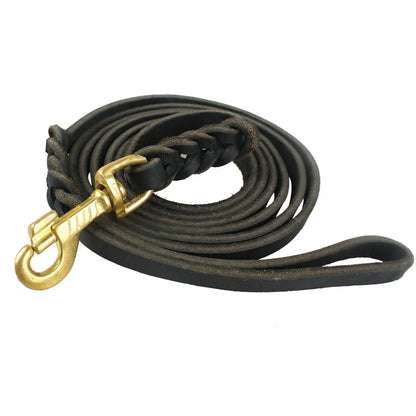 Laisse pour chien en cuir tressé – Élégance, confort et contrôle