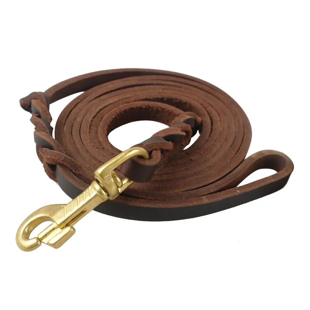 Laisse pour chien en cuir tressé – Élégance, confort et contrôle