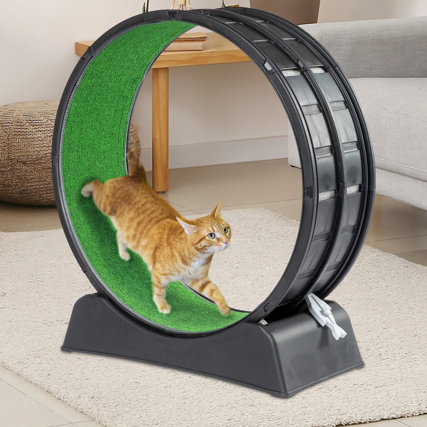 Roue pour chat de 39pouces ActiveRun