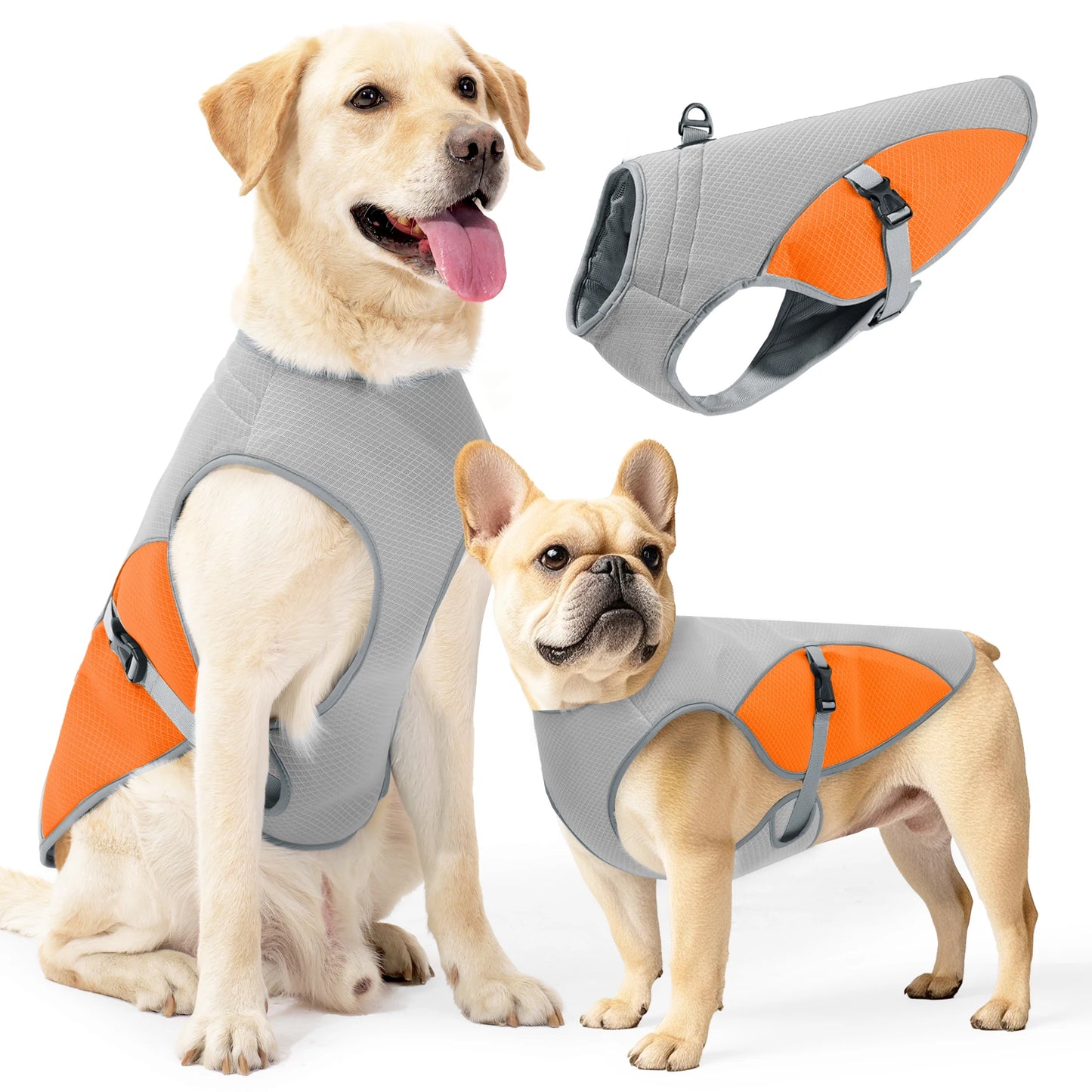 Gilet rafraîchissant pour chien – harnais d’été avec gourde portable