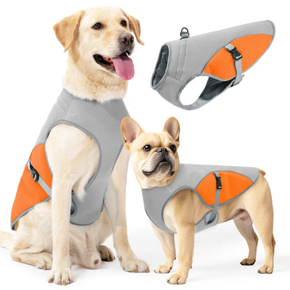 Gilet rafraîchissant pour chien – harnais d’été avec gourde portable