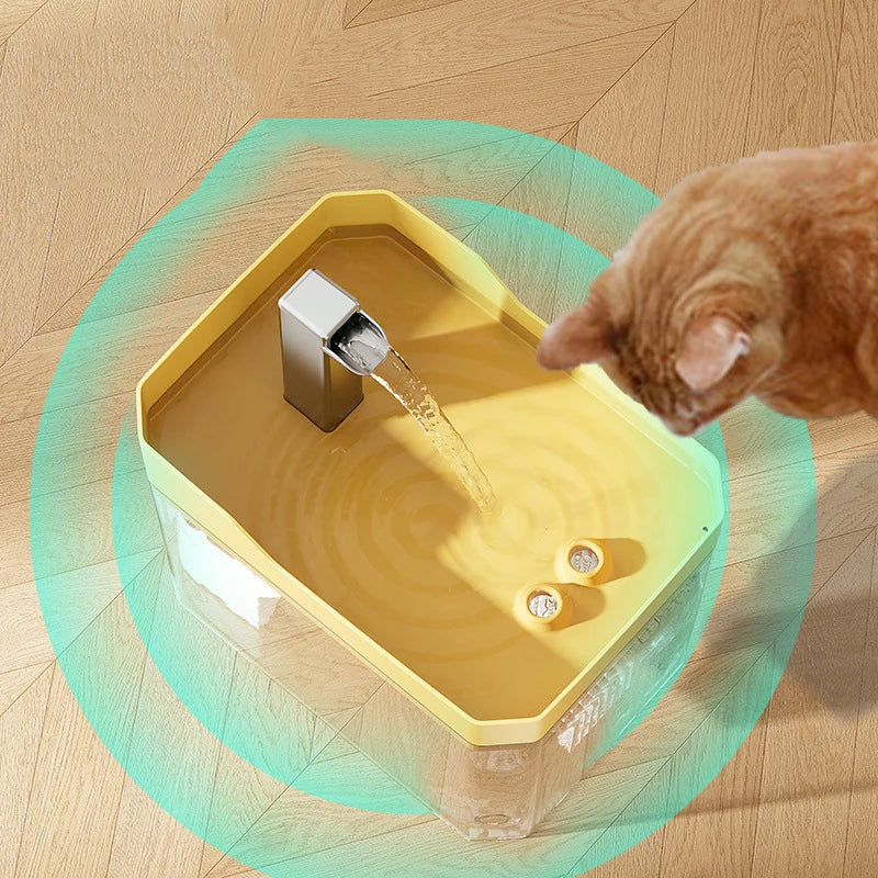 Fontaine à eau transparente pour chat et petit chien – 1,5 L silencieuse