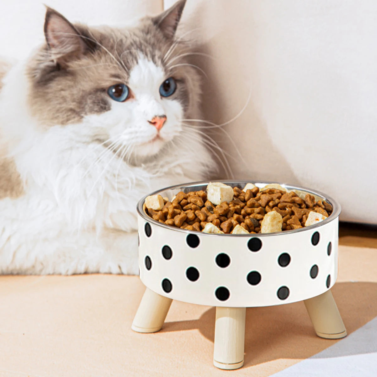 Gamelle inox antidérapante chien et chat – repas, voyage et terrasse