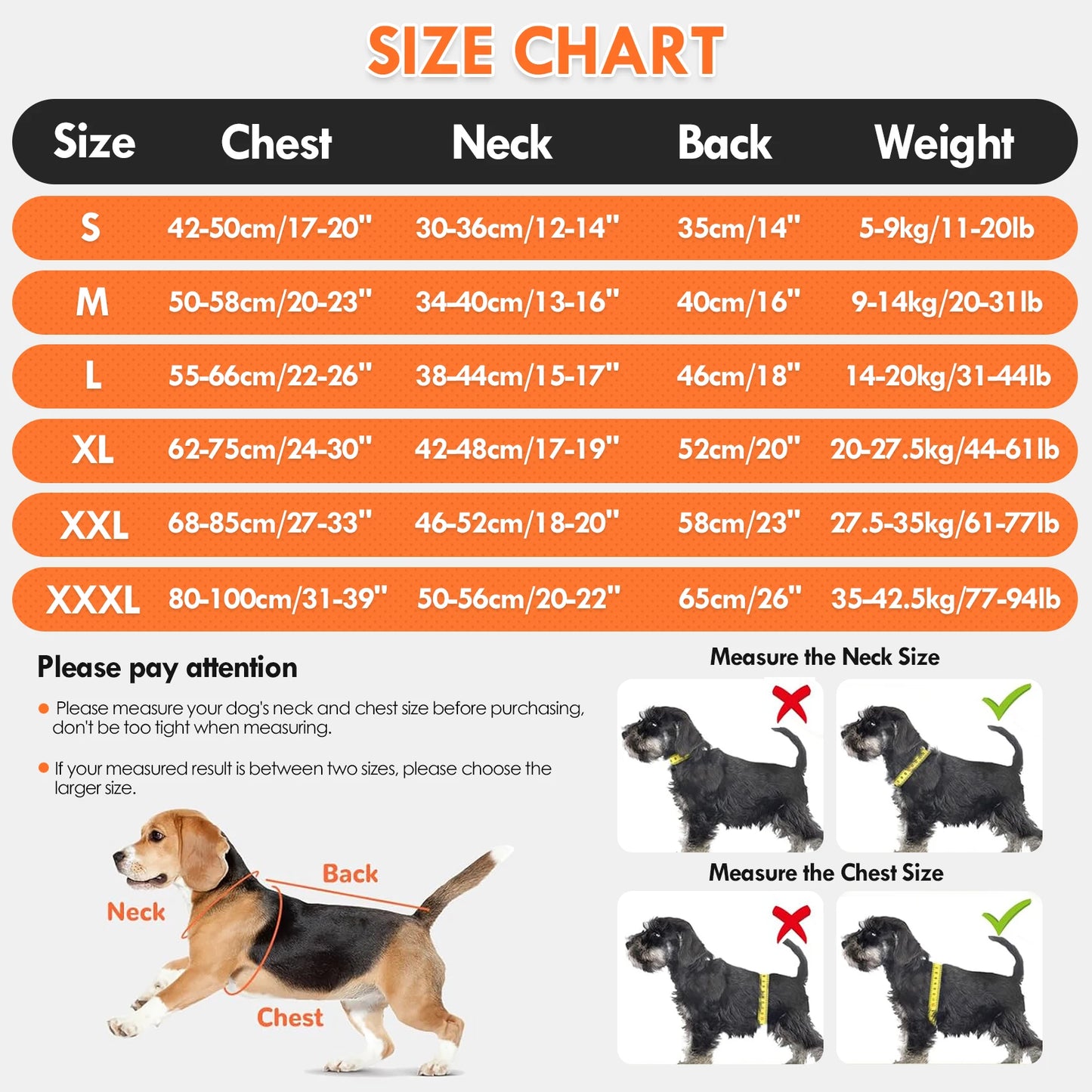Gilet rafraîchissant pour chien – harnais d’été avec gourde portable