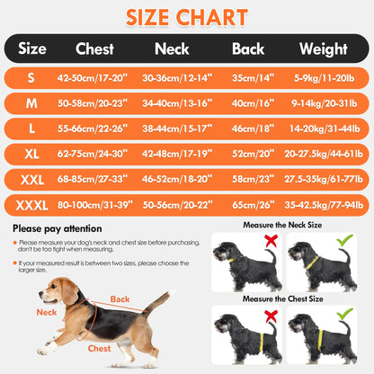 Gilet rafraîchissant pour chien – harnais d’été avec gourde portable