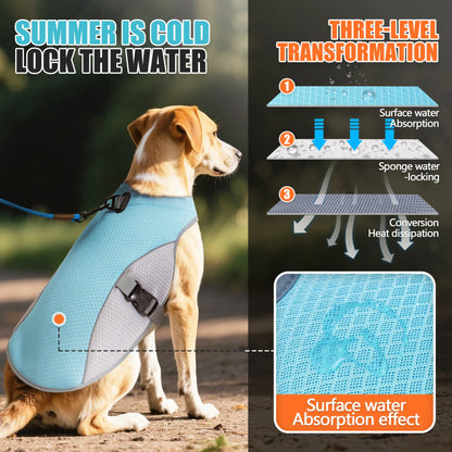 Gilet rafraîchissant pour chien – harnais d’été avec gourde portable
