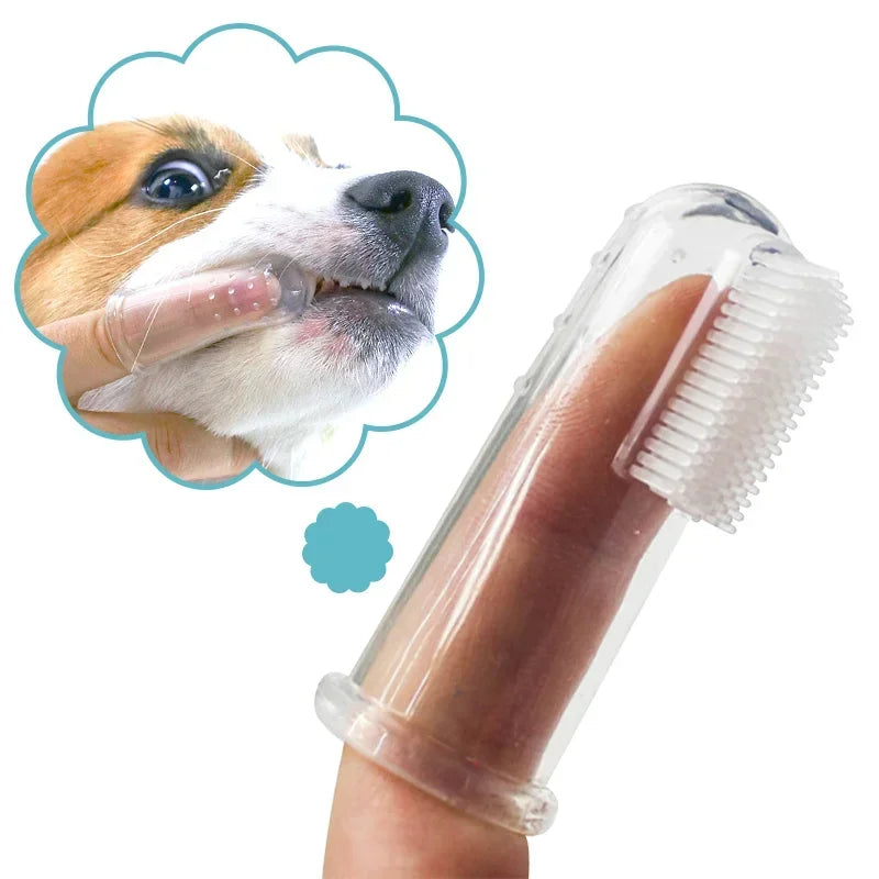 Brosse à dents anti-tartre pour petit chien – nettoyage doux