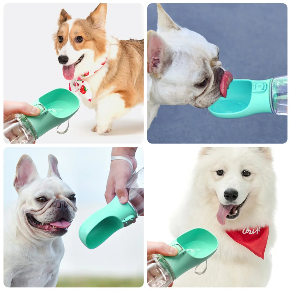 Gourde Portable Holapet© pour Chiens & Chats – Hydrate ton compagnon partout, en toute sécurité