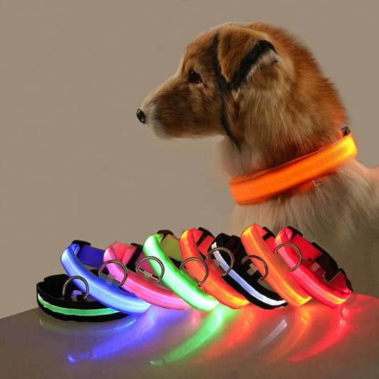 Collier Lumineux LED pour Chien – Sécurité Nocturne & Confort Absolu