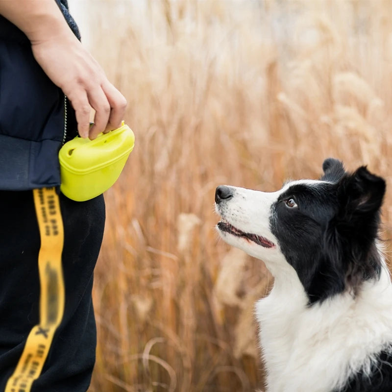 Sac banane d’éducation pour chien – friandises, promenade et dressage