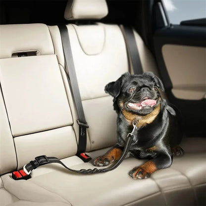 Ceinture de sécurité extensible pour chien – laisse voiture réfléchissante