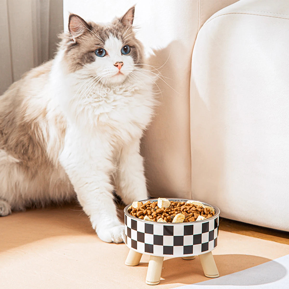 Gamelle inox antidérapante chien et chat – repas, voyage et terrasse