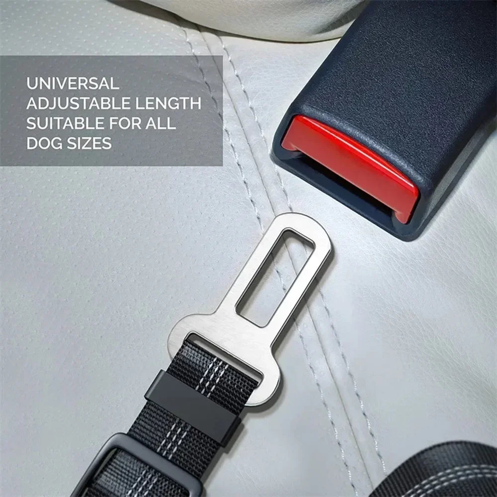 Ceinture de sécurité extensible pour chien – laisse voiture réfléchissante