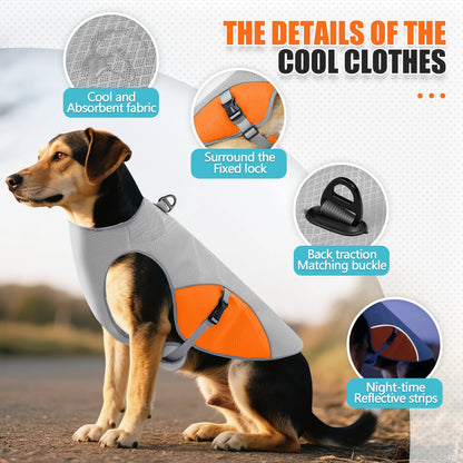 Gilet rafraîchissant pour chien – harnais d’été avec gourde portable