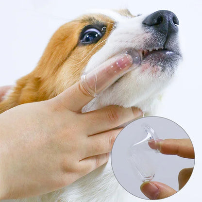 Brosse à dents anti-tartre pour petit chien – nettoyage doux