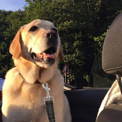 Ceinture de sécurité extensible pour chien – laisse voiture réfléchissante