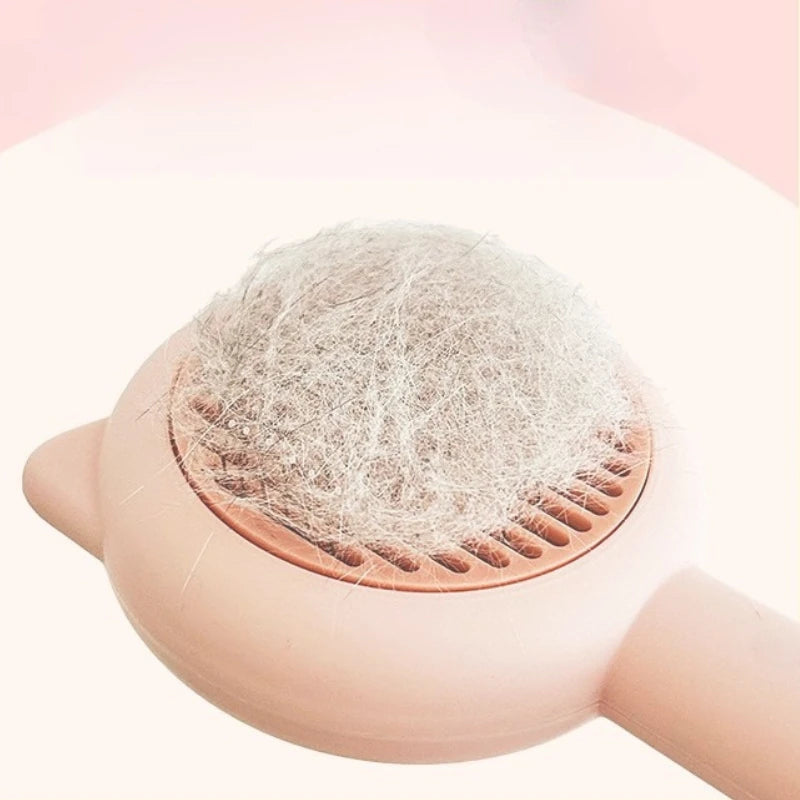 MiaouBrush™ – La brosse magique qui enlève les poils en un seul geste