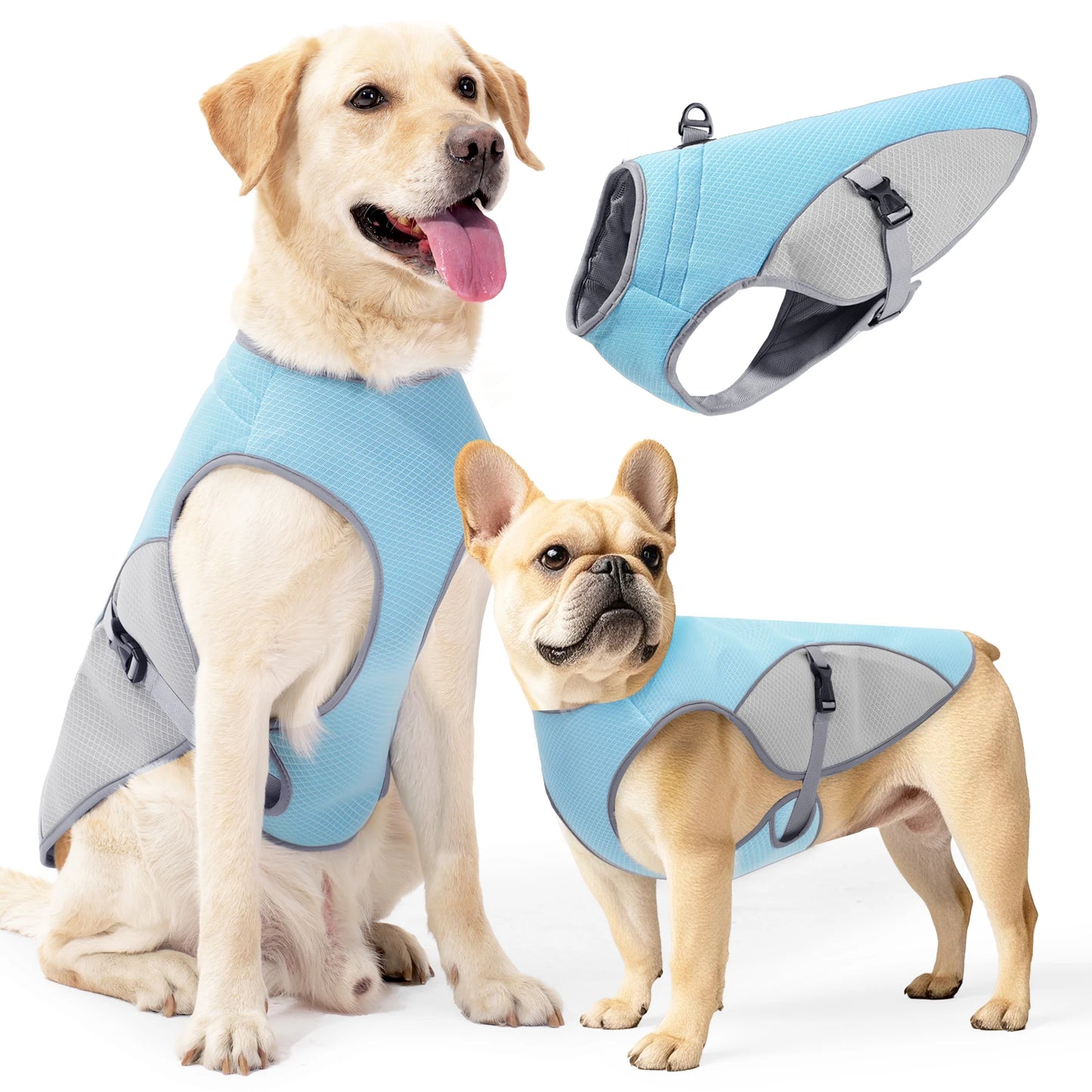 Gilet rafraîchissant pour chien – harnais d’été avec gourde portable