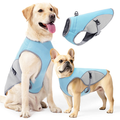 Gilet rafraîchissant pour chien – harnais d’été avec gourde portable