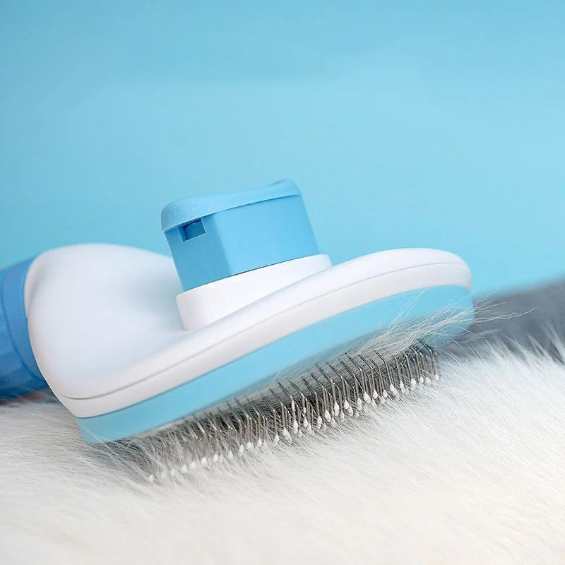 Brosse de Toilettage Anti-Nœuds – L’accessoire indispensable pour un pelage sain