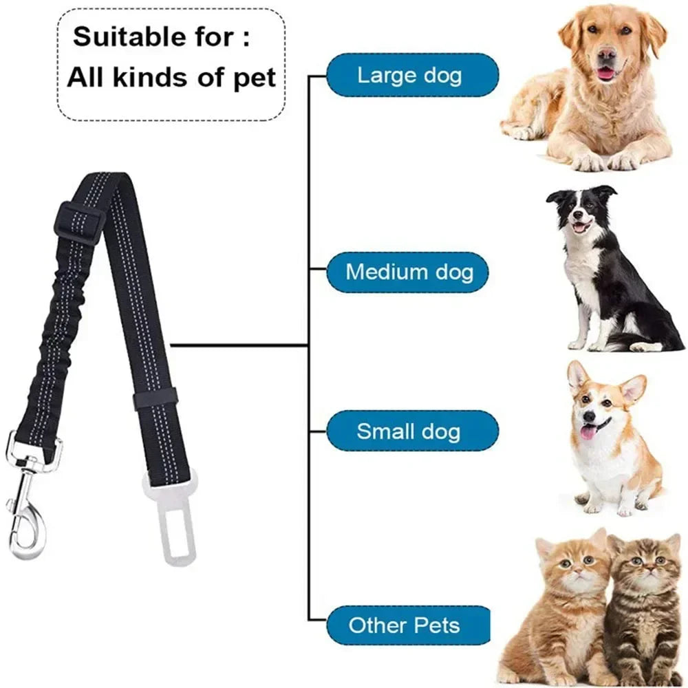 Ceinture de sécurité extensible pour chien – laisse voiture réfléchissante