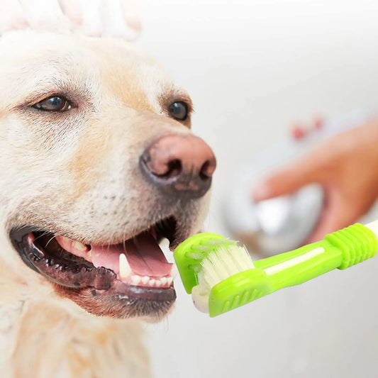 Brosse à Dents 3 Faces pour Chiens – Nettoyage Complet & Anti-Mauvaise Haleine
