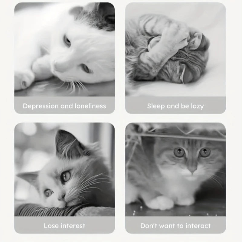 Jouet interactif chien et chat – cache-friandises et stimulation mentale