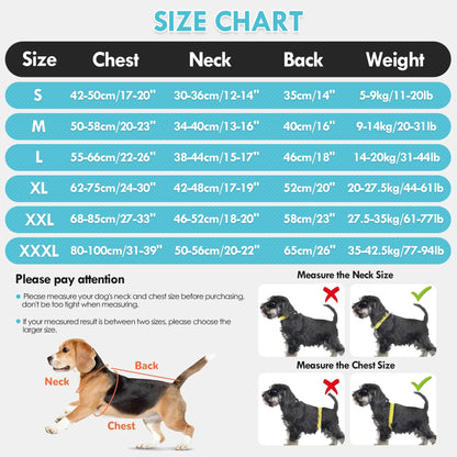 Gilet rafraîchissant pour chien – harnais d’été avec gourde portable