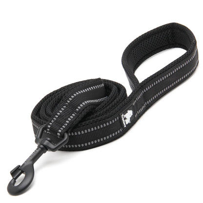 Truelove Pet Leash 200CM