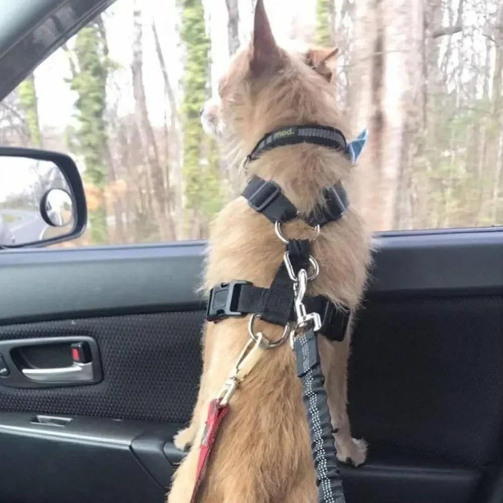 Ceinture de sécurité extensible pour chien – laisse voiture réfléchissante