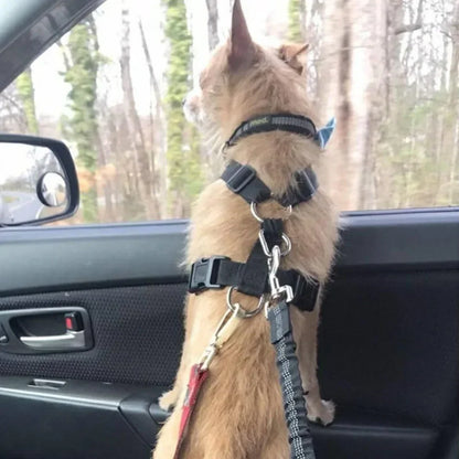 Ceinture de sécurité extensible pour chien – laisse voiture réfléchissante