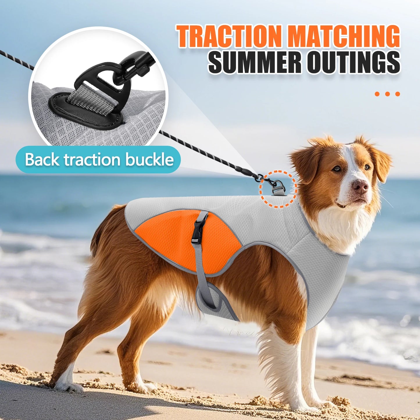 Gilet rafraîchissant pour chien – harnais d’été avec gourde portable