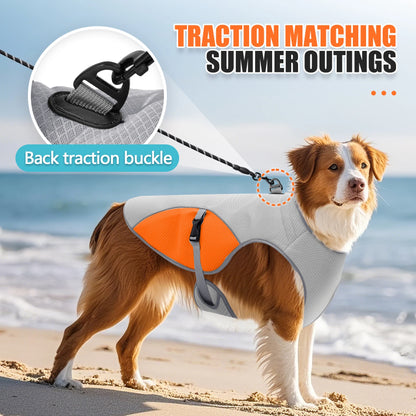 Gilet rafraîchissant pour chien – harnais d’été avec gourde portable