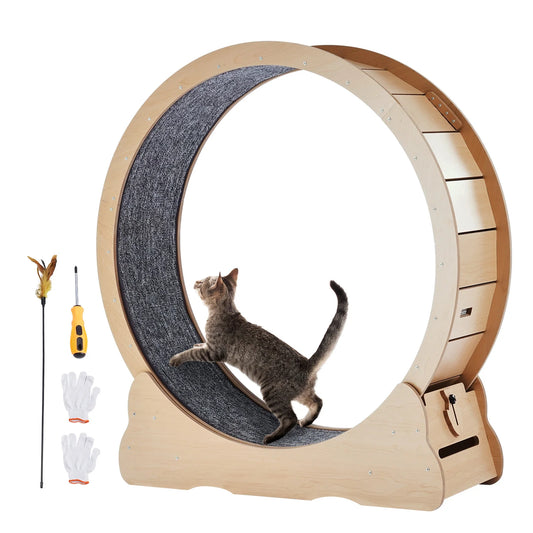 Roue pour Chat - Accessoire de dépense physique pour félin