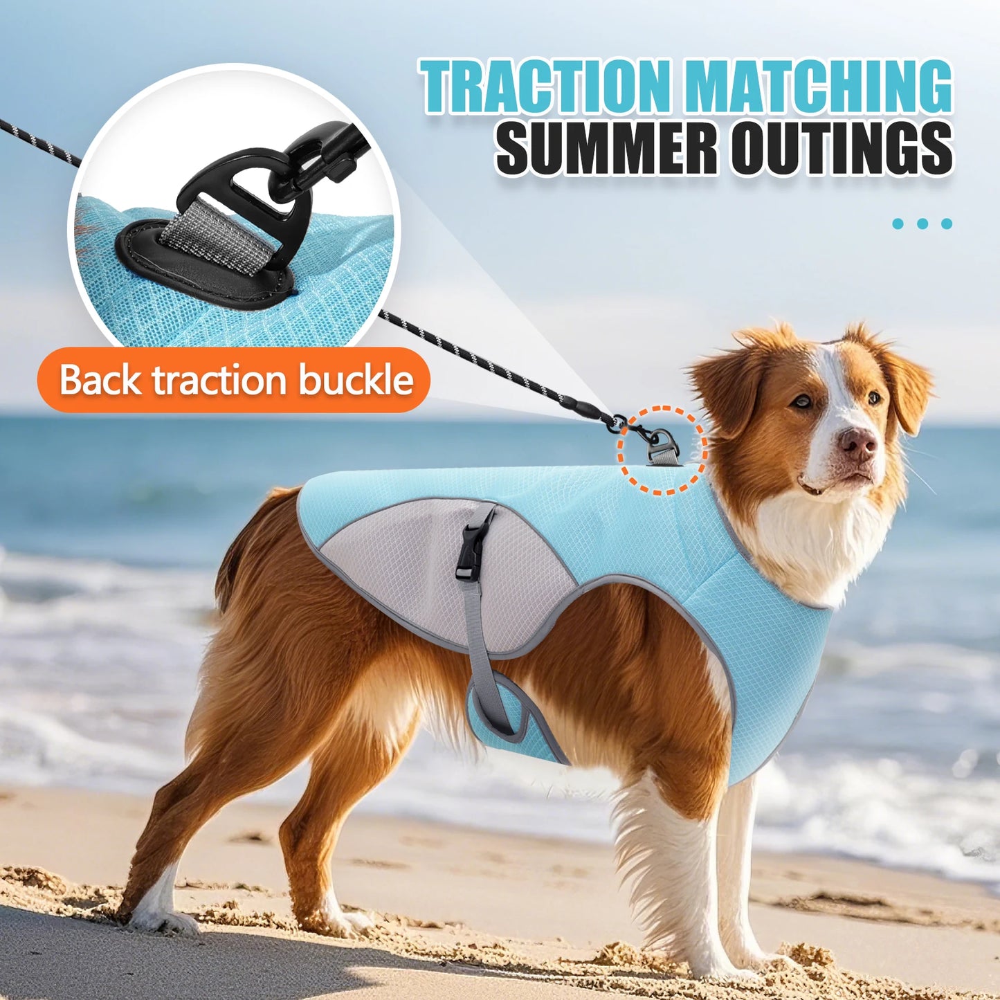 Gilet rafraîchissant pour chien – harnais d’été avec gourde portable