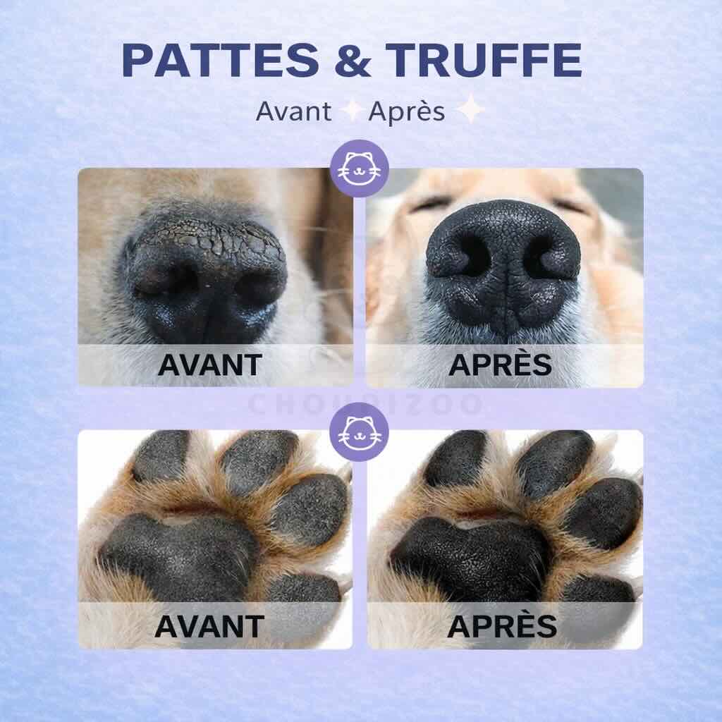 Baume Hydratant Pattes & Truffe – Chiens et Chats