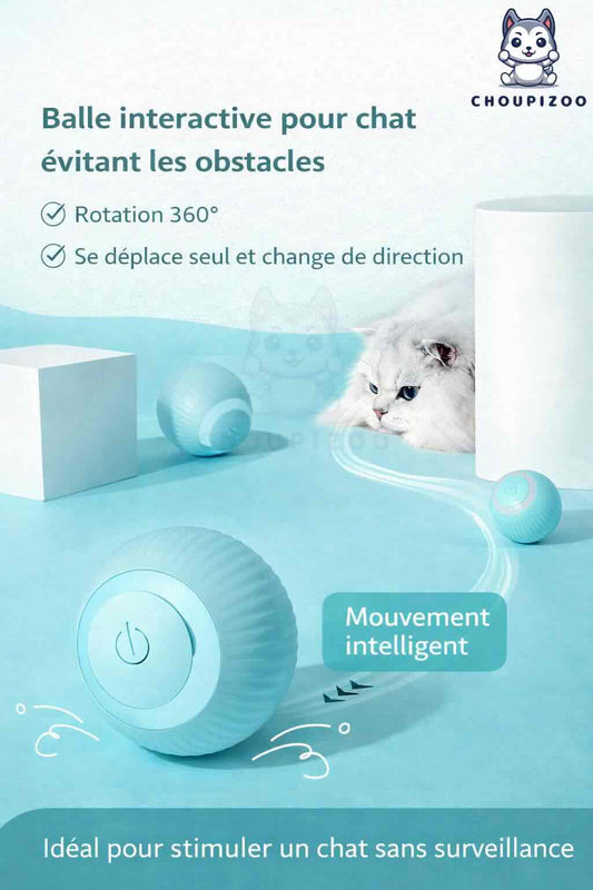 Balle interactive pour chat USB-C – Jouet intelligent auto-mouvant et silencieux pour chats d’intérieur
