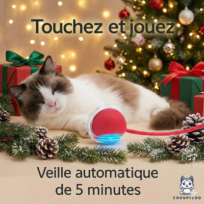 Balle interactive pour Chats - Choupizoo