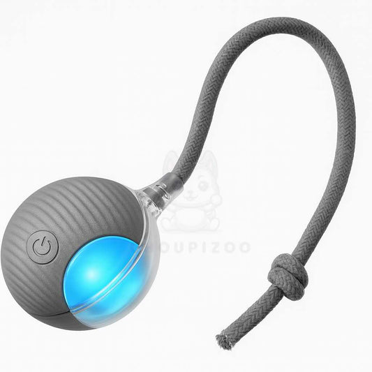 Balle interactive pour Chats - Choupizoo