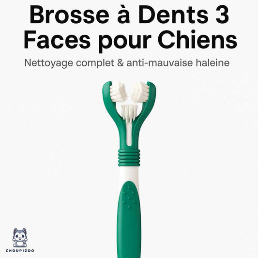 Brosse à Dents 3 Faces pour Chiens – Nettoyage Complet & Anti-Mauvaise Haleine