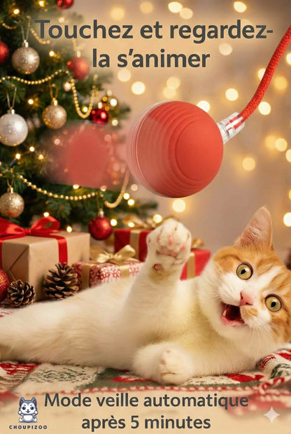 Balle interactive pour Chats - Choupizoo