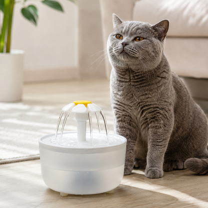 Chat gris assis près d’une fontaine à eau Daisy dans un salon chaleureux et lumineux.